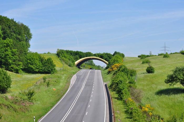 Ecoduct In Germany