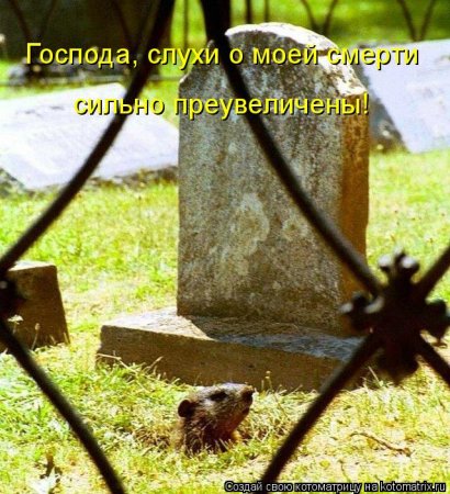 ��������� ����������� ������������..