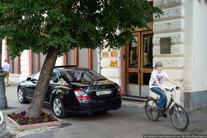 Когда деревья были большими