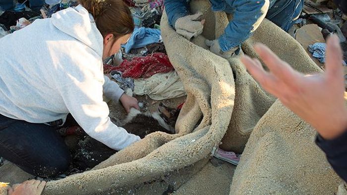 ураган, друг