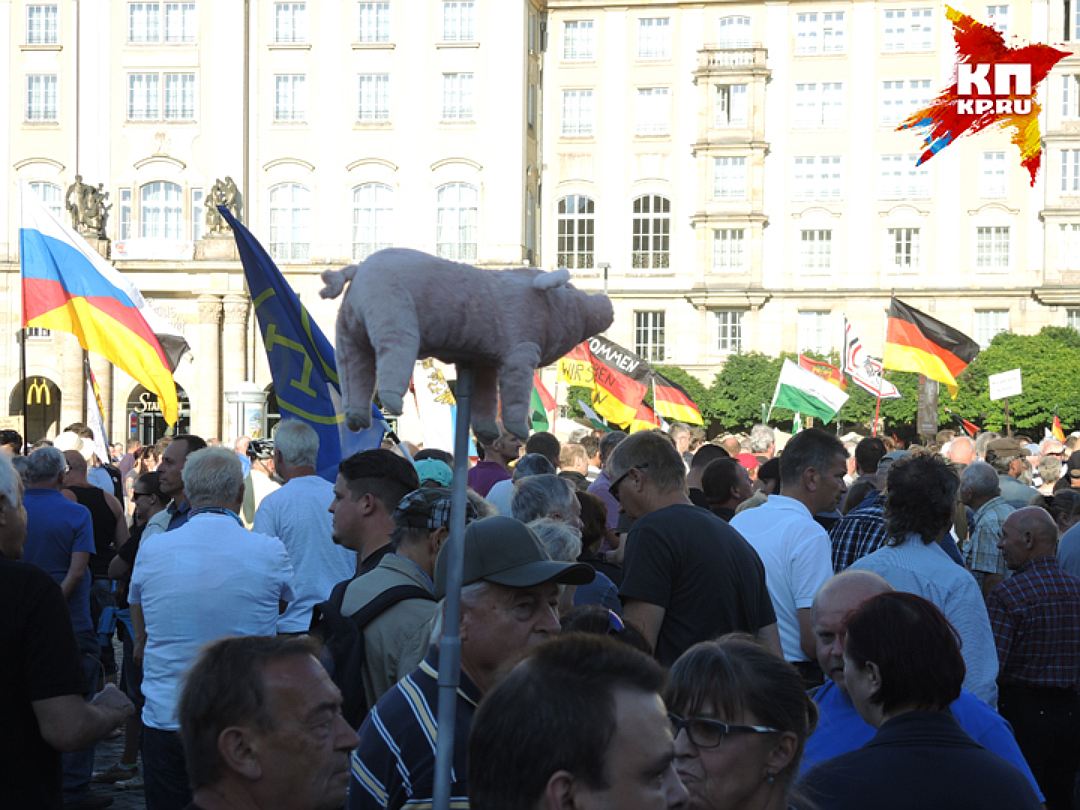 Люди несут на митинг плюшевых свиней как символ протеста против халяльной еды. Фото: Дарья АСЛАМОВА