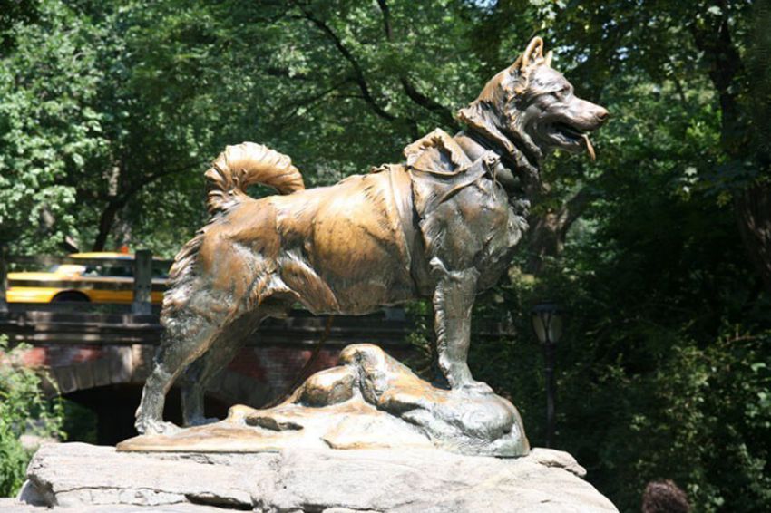собака, друг, жизнь, животное, памятник