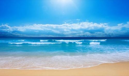 В Португалии противозаконно ходить по нужде в океан.