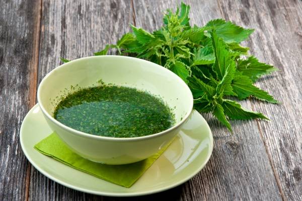 Крапива двудомная Urtica Крапива двудомная Urtica