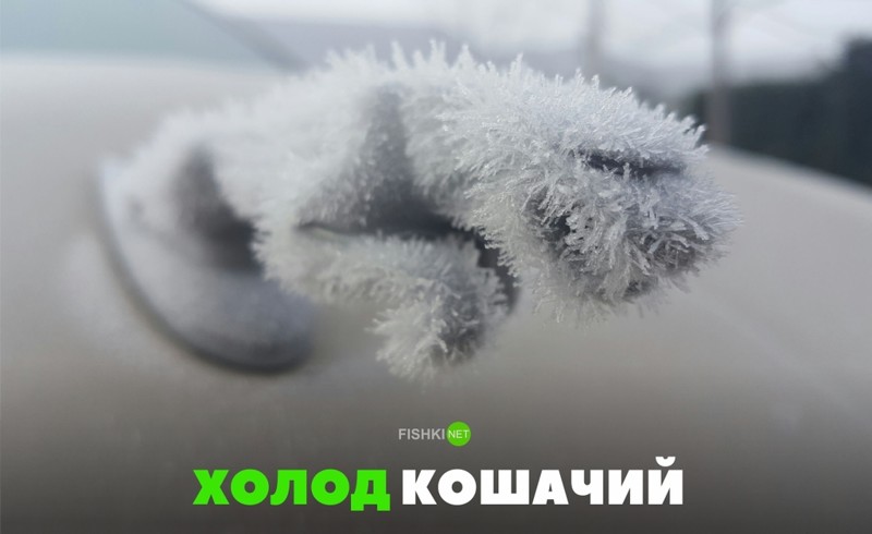 Свежая подборка автоприколов Свежая подборка автоприколов авто, автоприколы, приколы