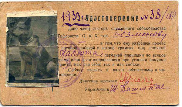 Дуэль русской собаки и немецкого пса