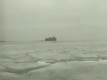 Петровские форты