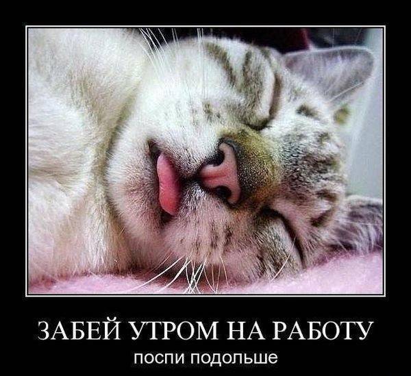 Забавные и веселые демотиваторы для хорошего настроения (11 фото) Забавные и веселые демотиваторы для хорошего настроения (11 фото)
