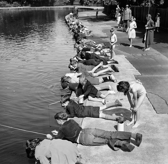 36. Дети на рыбалке, Парк Виктории, Лондон, 1953 год детство, прошлое, фотография