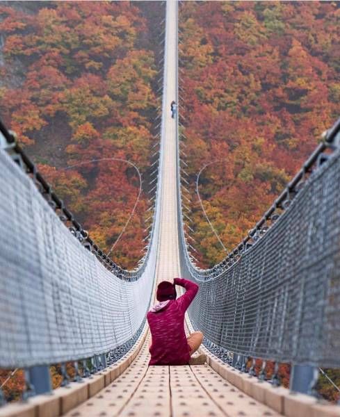 Прикольные фотографии и смешные картинки для веселья (11 фото) Прикольные фотографии и смешные картинки для веселья (11 фото)