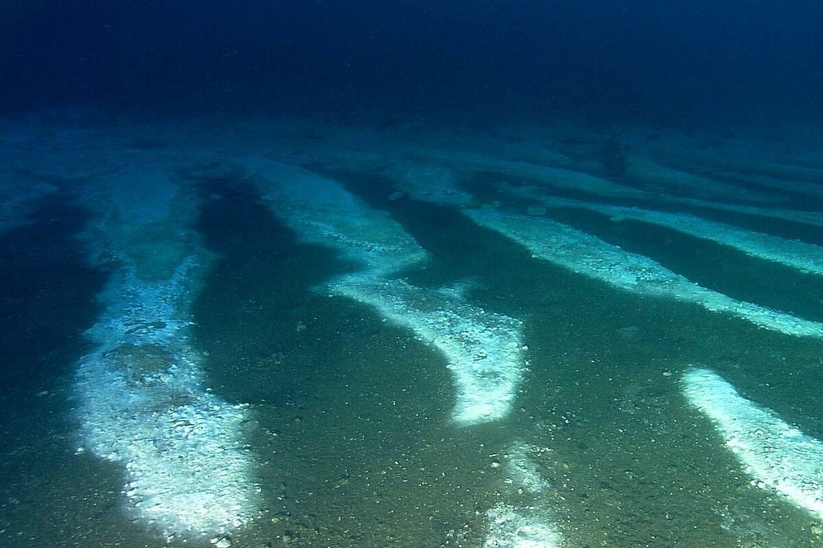 как выглядит дно черного моря без воды