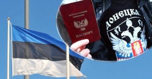 Как же теперь Донбассу прожить без Эстонии?