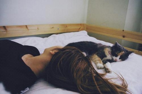 В городке Логан Каунти, штате Колорадо, мужчине запрещено целовать спящую женщину.