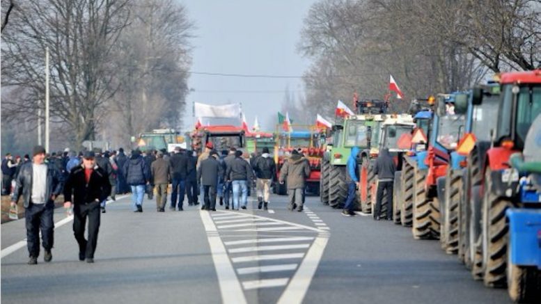 Отчаявшиеся кубанские фермеры вновь собрались доехать на тракторах к Путину