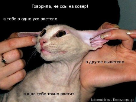 ��������� ����������� ������������..