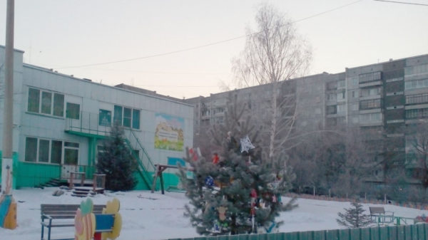 Ёлочный сезон заканчивается Ёлочный сезон заканчивается