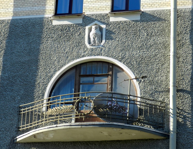Совы Петербурга Совы Петербурга