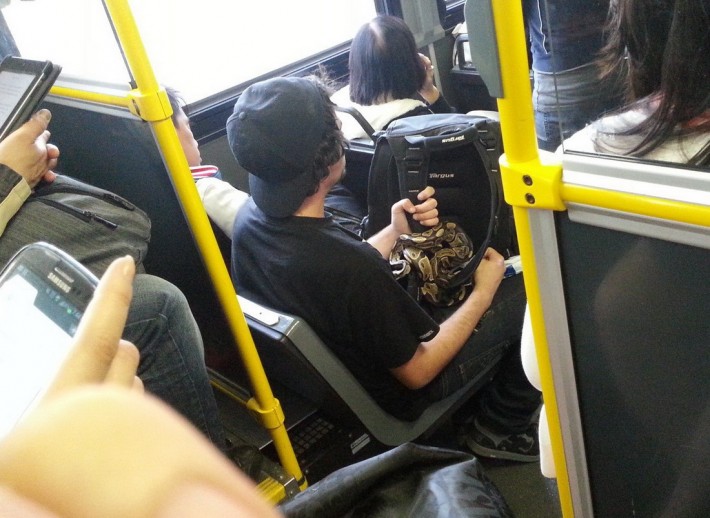 Давайте улыбаться вместе!