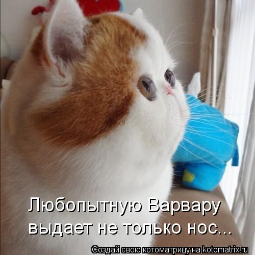  -       ...