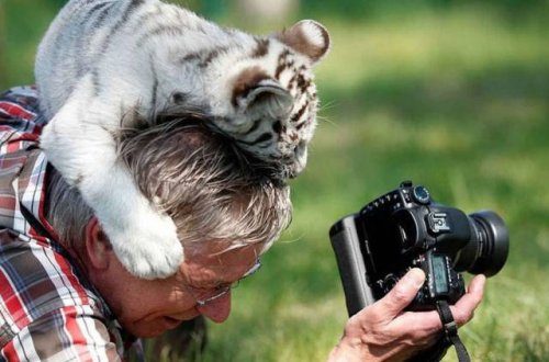 Фотографы дикой природы