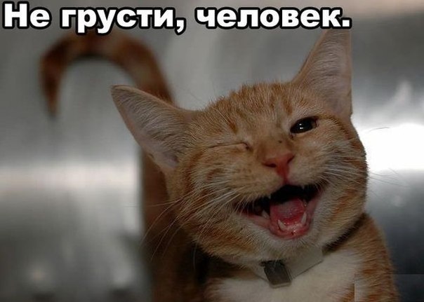 http://cs320118.vk.me/v320118242/1320/z7jsclGC9pk.jpg