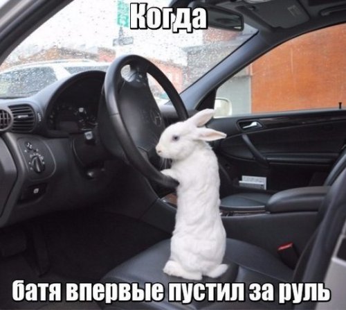 Новые АВТОприколы на Бугаге (24 фото) Новые АВТОприколы на Бугаге (24 фото)