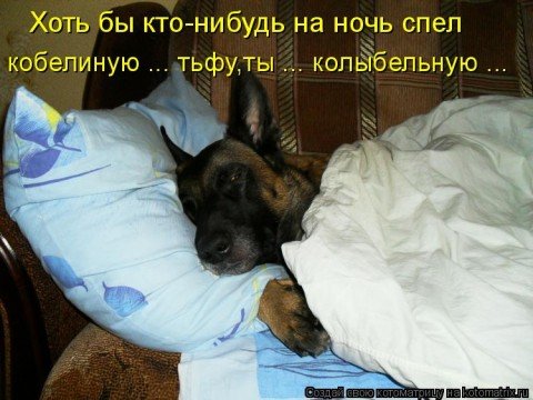 Котоматрица. Мысли вслух :)