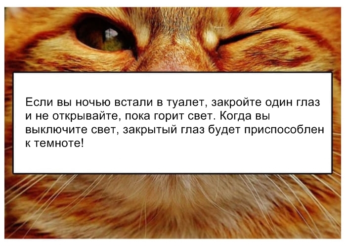 15 трюков, которые заставят ваше тело работать на вас! 15 трюков, которые заставят ваше тело работать на вас!