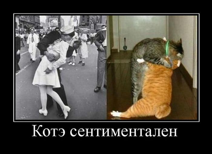 Демотиваторы - 839 Демотиваторы - 839