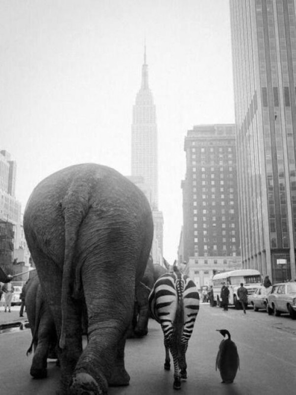 Интересные и редкие ретро-фотографии. 18+ Интересные и редкие ретро-фотографии. 18+