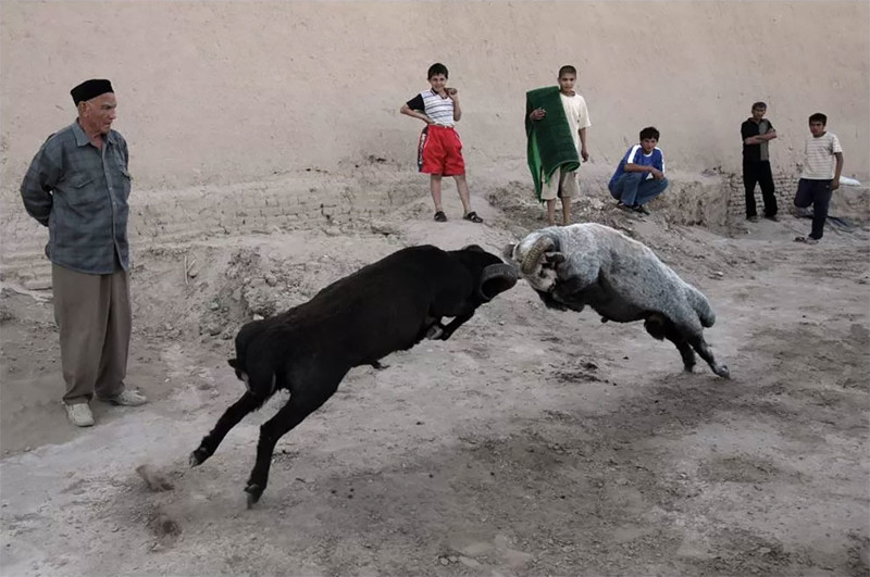 Наша маленькая жизнь глазами российского фотографа Наша маленькая жизнь глазами российского фотографа моменты жизни, отограф, репортаж, фото