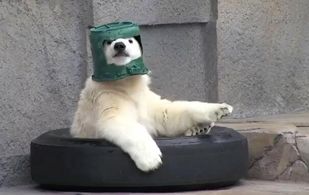 У них что-то пошло не так) У них что-то пошло не так)