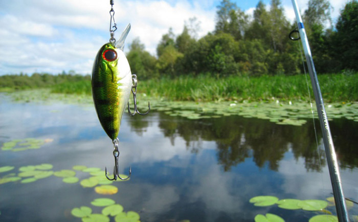 Природа России 5 Природа России 5
