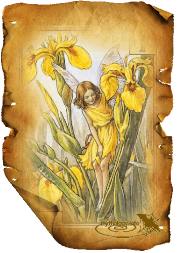 Ирис -  худ. Cicely Mary Barker