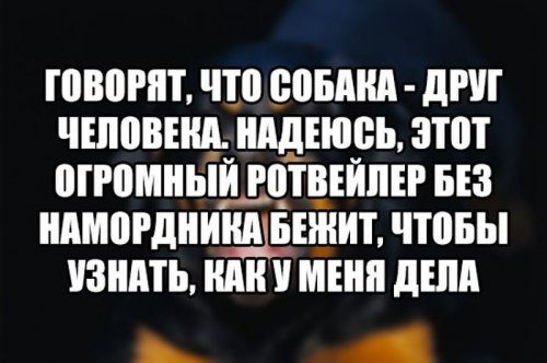 Весёлые картинки и приколы
