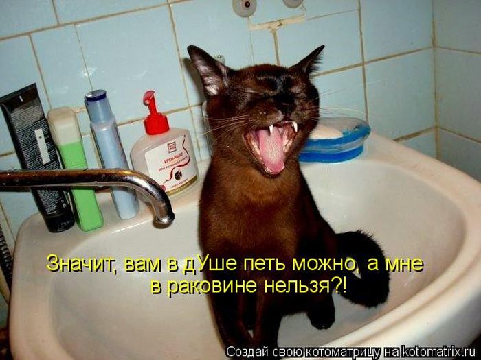 Мысли вслух :)