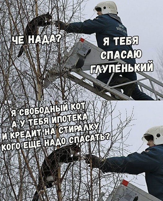 ПРИКОЛИСЬ ПРИКОЛИСЬ