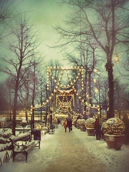 Прикольные картинки Прикольные картинки