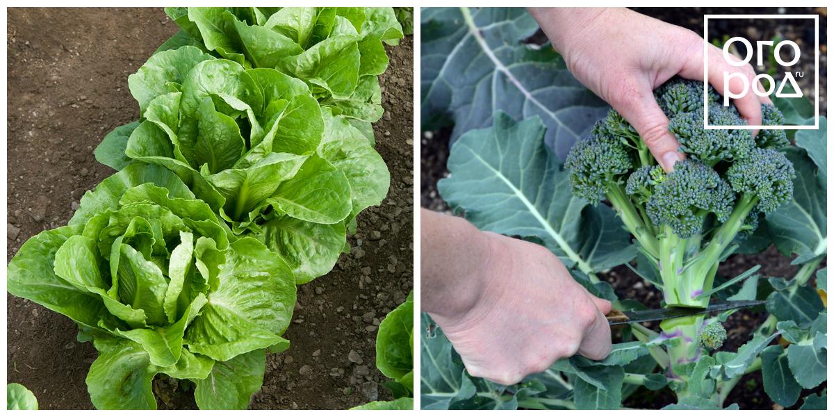 7 ��� ��������, ������� ������ ���������� �����