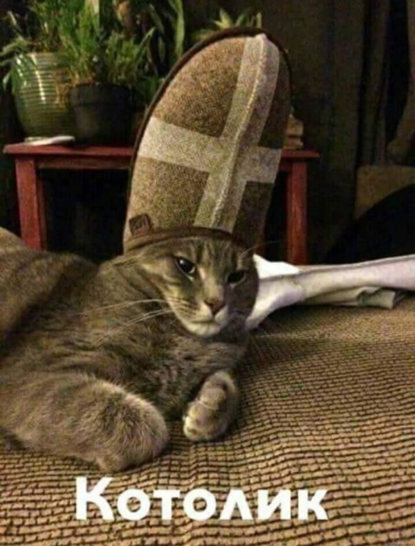 Юмор на любителя Юмор на любителя