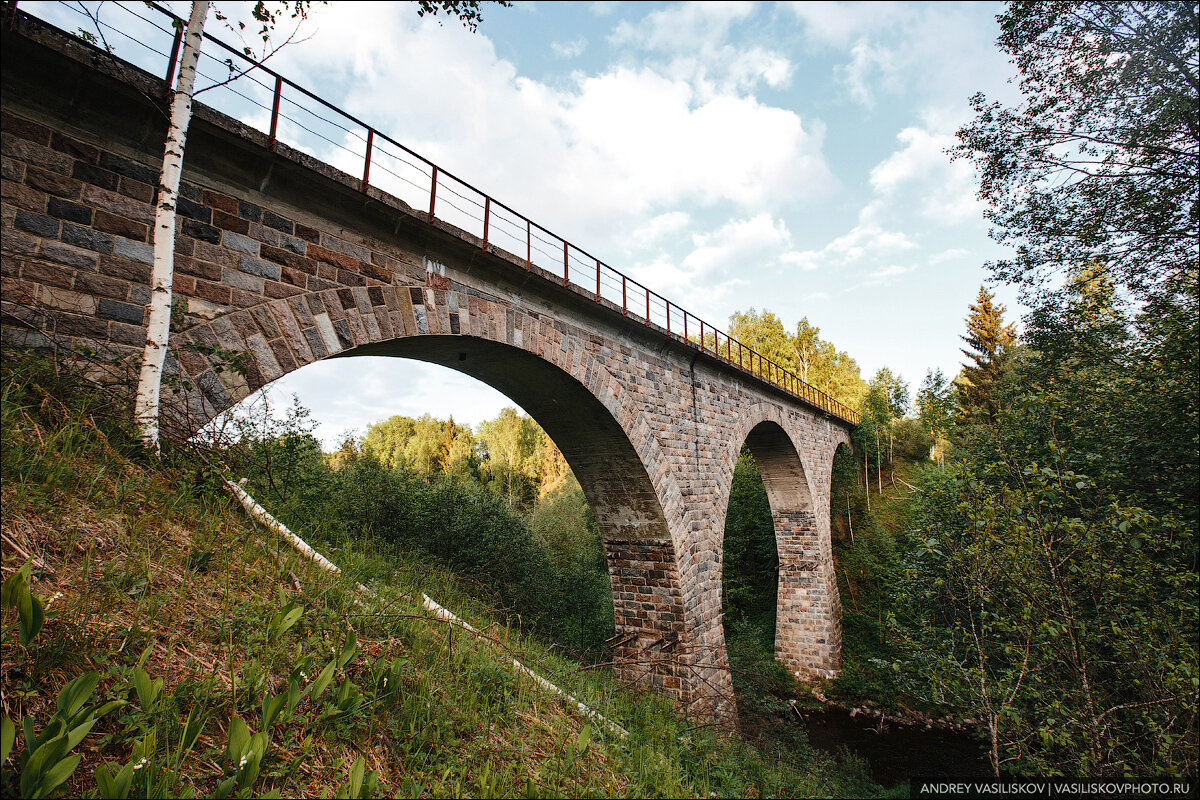 Заброшенный железнодорожный мост в Новгородской области: шедевр промышленной архитектуры