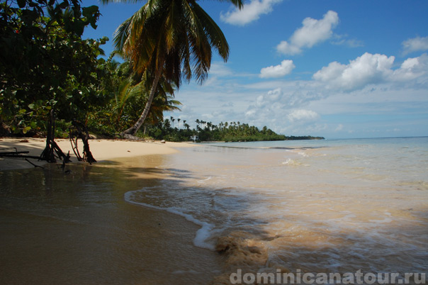 доминикана видео