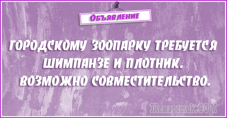 Анекдоты - объявления. 50 самых убойных объявлений Анекдоты - объявления. 50 самых убойных объявлений