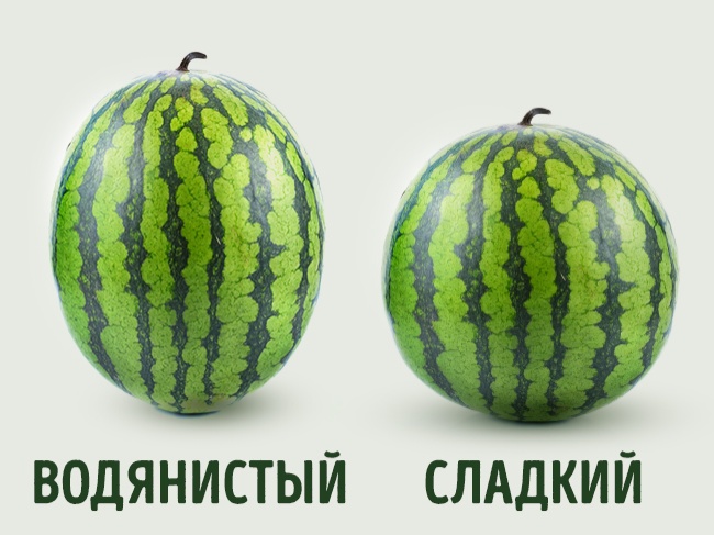    : ,    