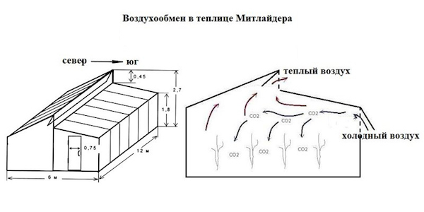 Теплица по Митлайдеру