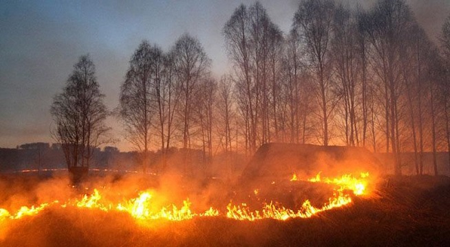ЧТО ЖДЕТ РОССИЮ В 2018 нострадамус