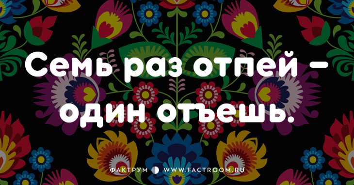 20 смешных современных поговорок, которых вы ещё не слышали 20 смешных современных поговорок, которых вы ещё не слышали