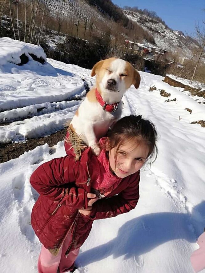 девочка и щенок