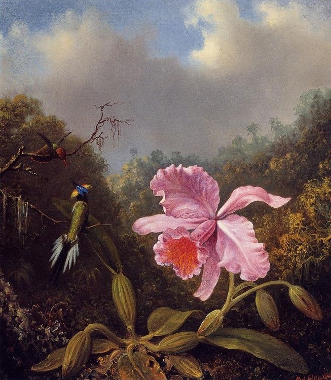 Цветы на картинах Martin Johnson Heade
