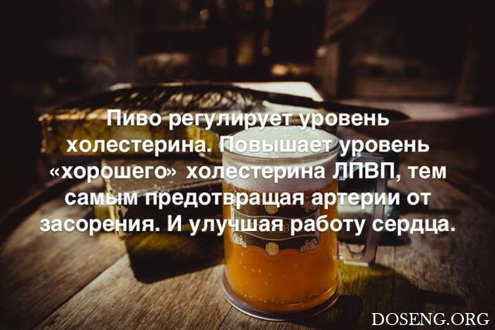 Любопытные и интересные факты обо всем на свете Любопытные и интересные факты обо всем на свете
